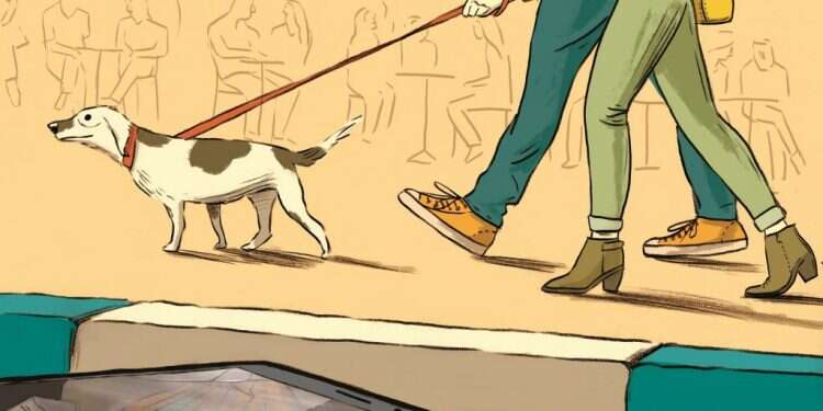 איור: מורן ברק איור: מורן ברק