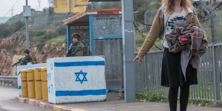 צילום: יוסי אלוני