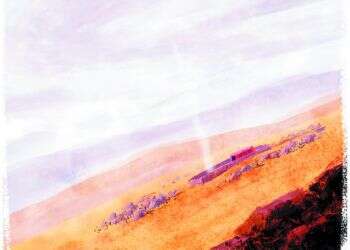 איור: מנחם הלברשטט