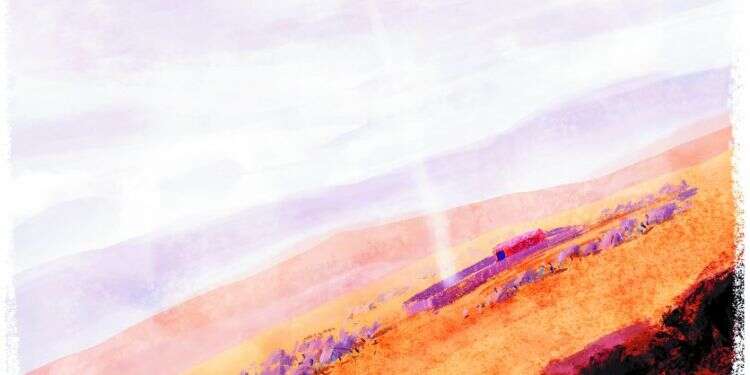 איור: מנחם הלברשטט