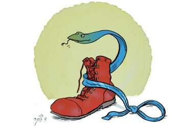 איור: שי צ'רקה