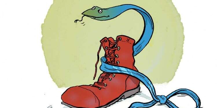 איור: שי צ'רקה איור: שי צ'רקה