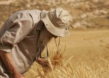 צילום: מרים צחי