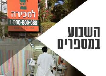 צילום: שאטרסטוק