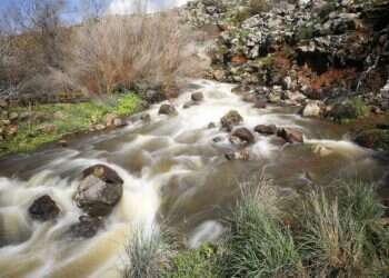 צילום אלחי פרבר
