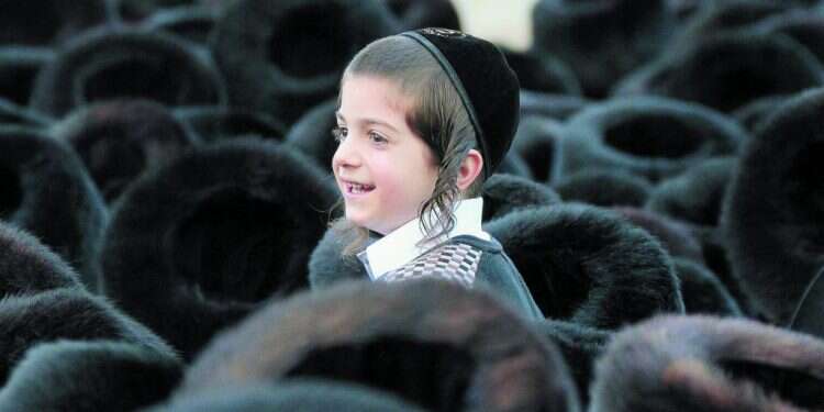 צילום: עזרא לנדאו,  צילום: עזרא לנדאו, "ראש לשועלים", ירושלים 2014