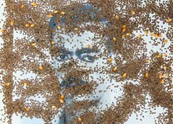 האיש שהציל מהכחדה את צמחי ארץ ישראל