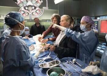 צילום: באדיבות יס