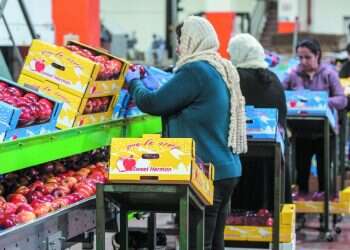 צילום: אייל מרגולין - ג'יני