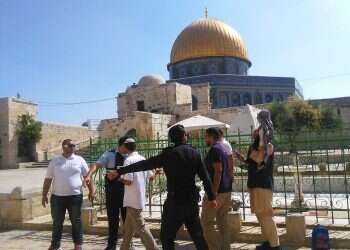 צילום ארכיון: מרים צחי