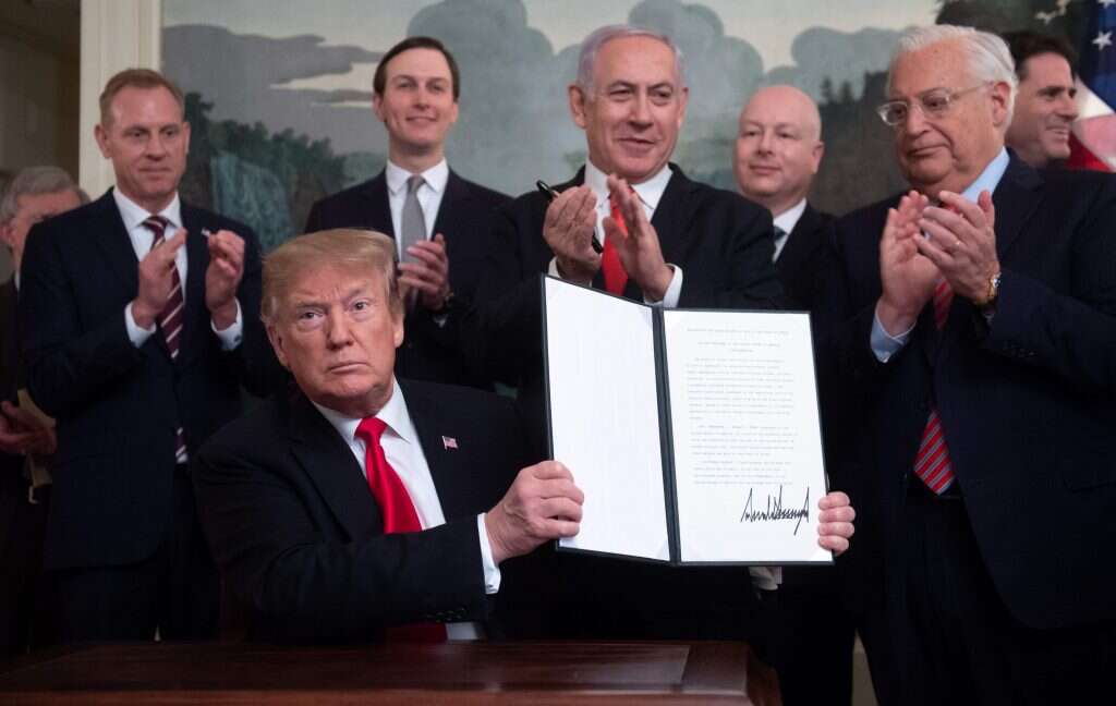 צילום: AFP