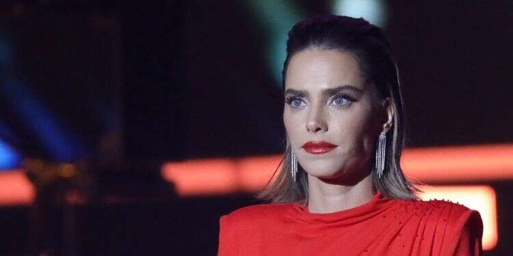 צילום: נעם ריבקין פנטון, פלאש 90