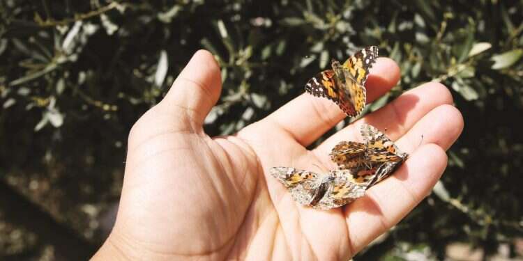 צילום: דוד כהן, פלאש 90