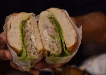 צילום: חן קורן