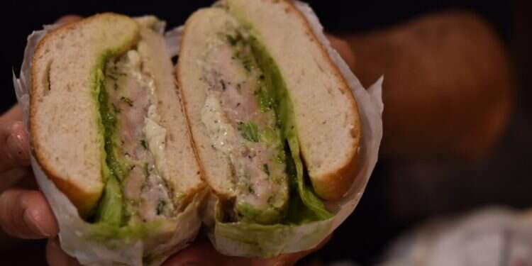 קוקוריקו. צילום: חן קורן  צילום: חן קורן