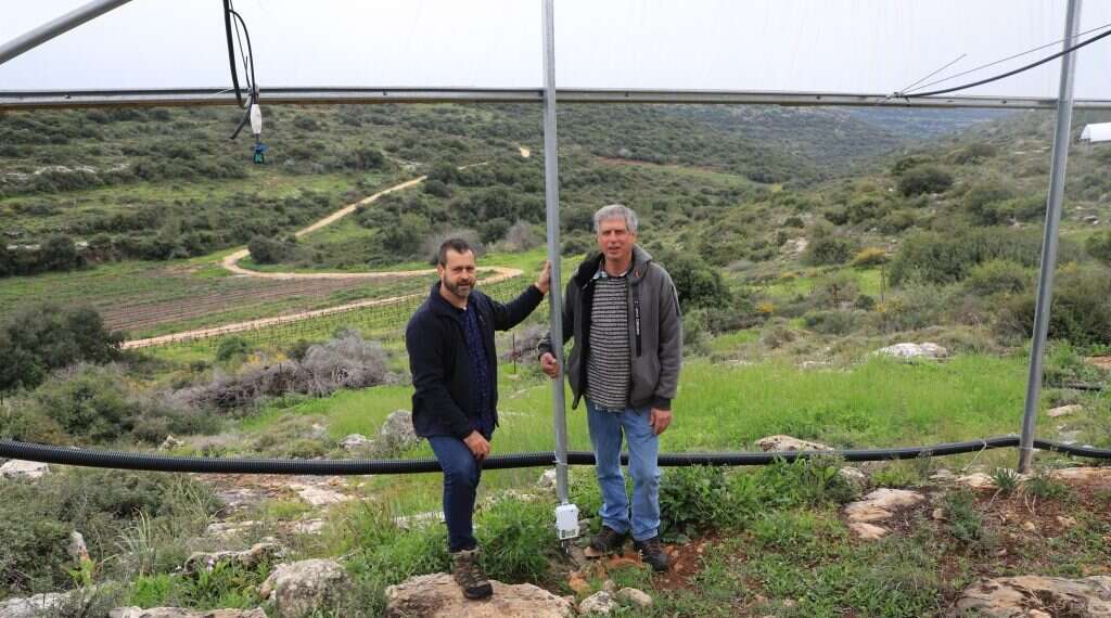 צילום: יעל (פרוינד) אברהם