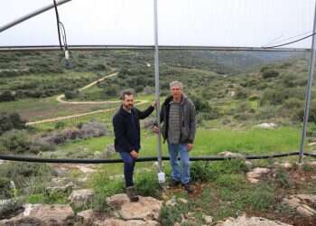 צילום: יעל (פרוינד) אברהם