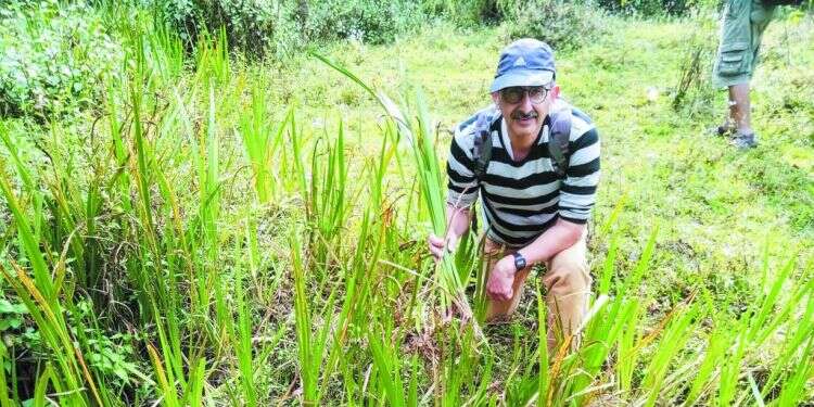 פרופ' זהר עמר וקנה הבושם להודו בעקבות שמן המשחה