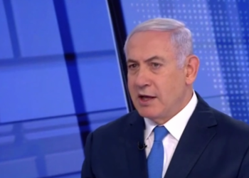 צילום: צילום מסך