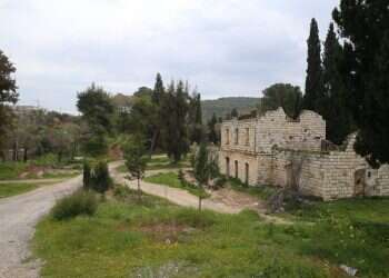 צילום: מרים צחי