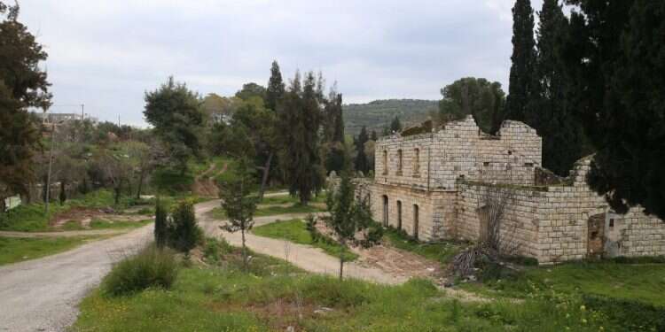 צילום: מרים צחי