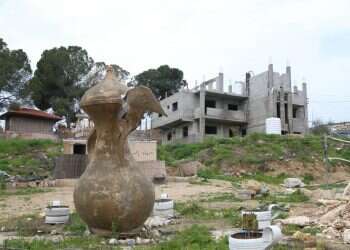 צילום: מרים צחי