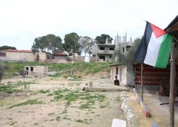 צילום: מרים צחי