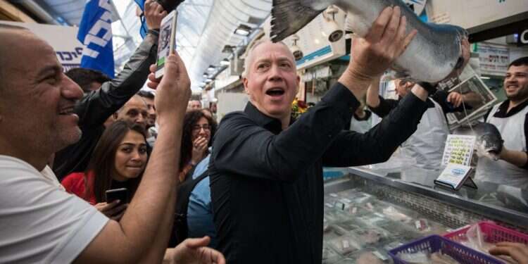 יואב גלנט מהליכוד בסיור בשוק מחנה יהודה. צילום: הדס פרוש, פלאש 90 צילום: הדס פרוש, פלאש 90