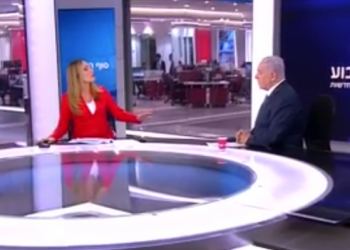 צילום: צילום מסך