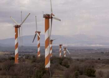 צילום: אופיר דוד