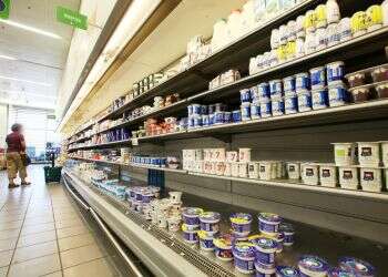 צילום: מירי צחי