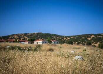 צילום: אנצ'ו גוש, ג'יני