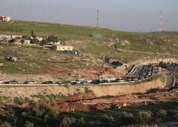 צילום: מירי צחי