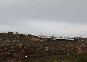 צילום: מירי צחי