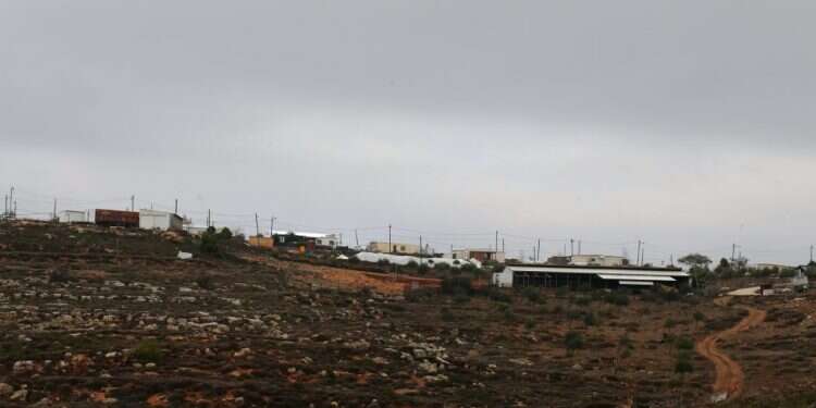 עמונה. צילום: מירי צחי צילום: מירי צחי