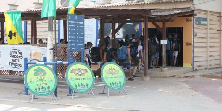 בסיס הקליטה והמיון בתל־השומר הבקו"ם לא קם, צה"ל והאזרחים מפסידים