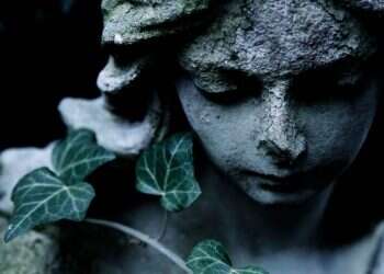 צילום: שאטרסטוק