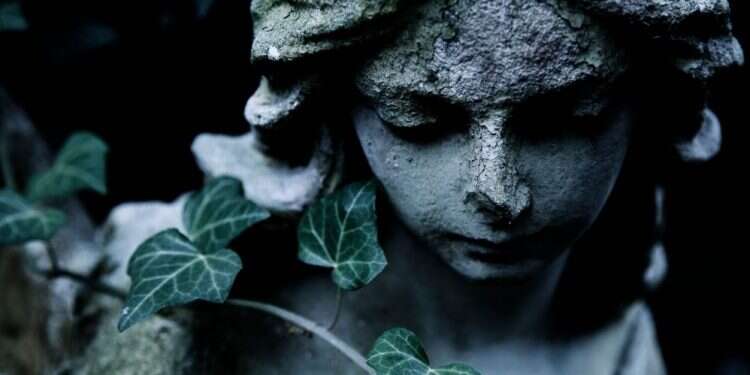 צילום: שאטרסטוק צילום: שאטרסטוק