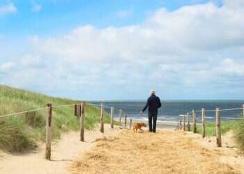 צילום: שאטרסטוק