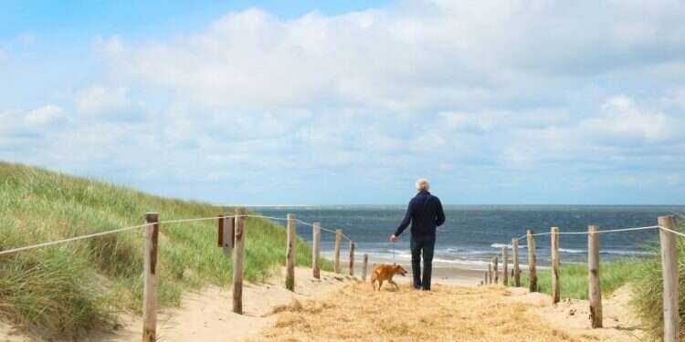 צילום: שאטרסטוק