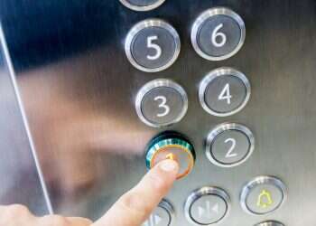 צילום: שאטרסטוק