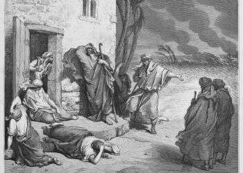 צילום: שאטרסטוק