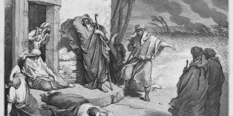 איוב. צילום: שאטרסטוק צילום: שאטרסטוק