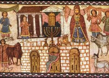 צילום: זאב רדובן