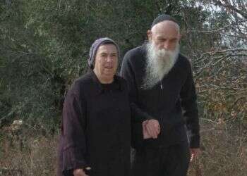 צילום: יהודה הנדלר