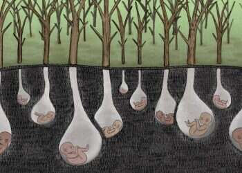 איור: שרון ארדיטי