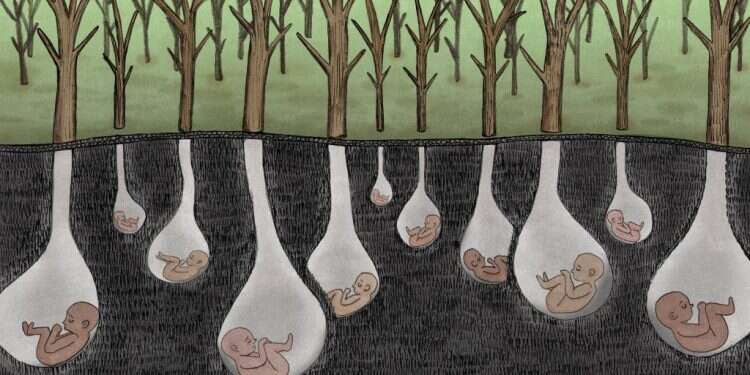 איור: שרון ארדיטי איור: שרון ארדיטי