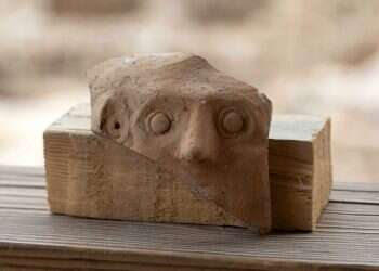 צילום: אליהו ינאי