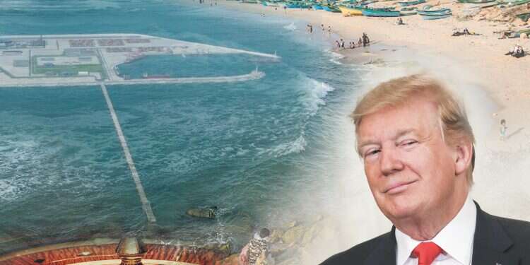 צילום: שאטרסטוק, צילום מסך, הדמיה - באדיבות משרד התחבורה, גטי אימג'ס