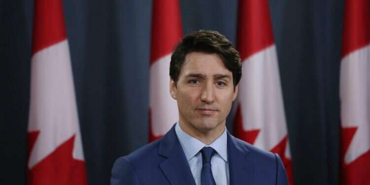 טרודו. צילום: AFP צילום: AFP